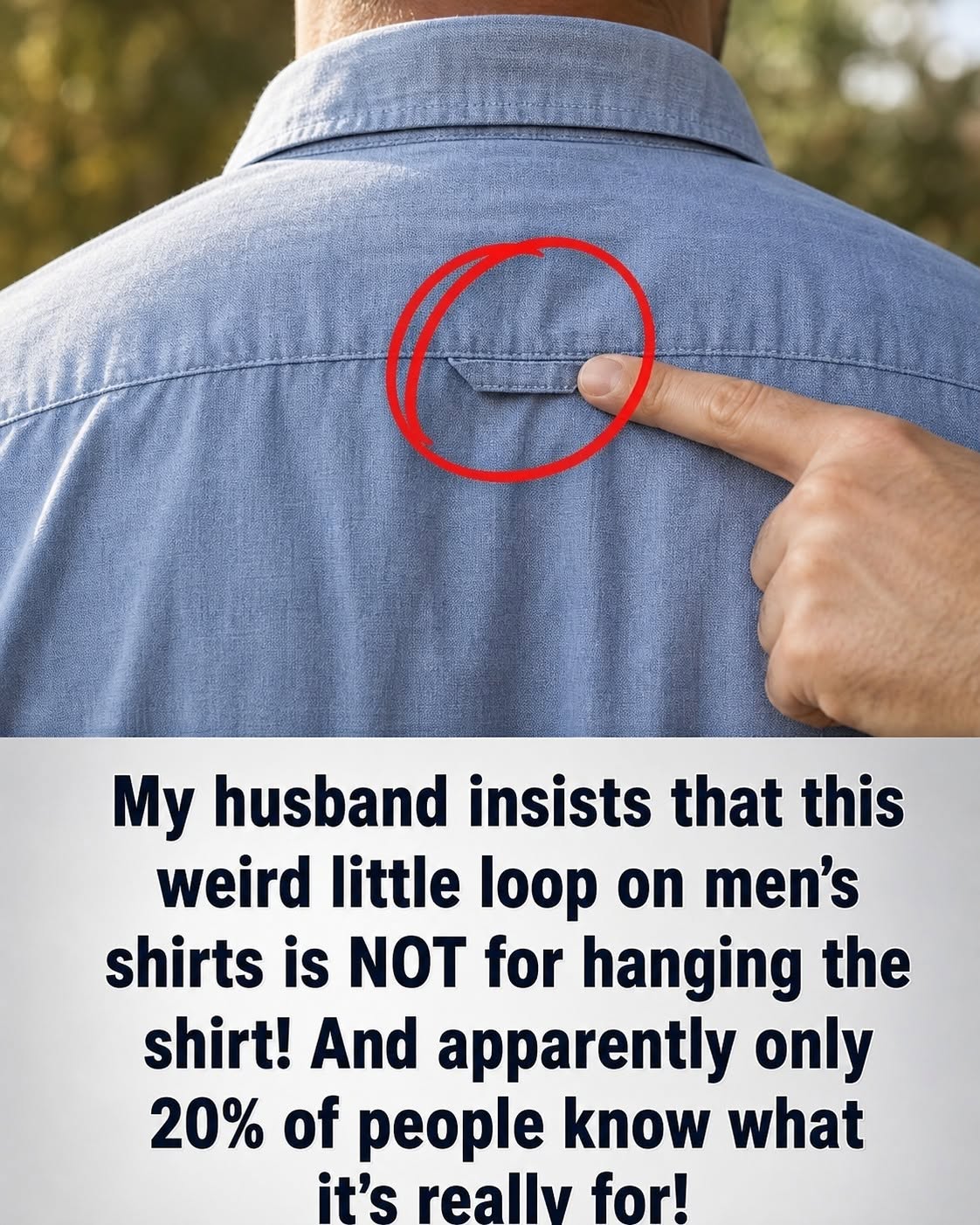 The Hidden Purpose of That Tiny Loop on the Back of Your Shirt