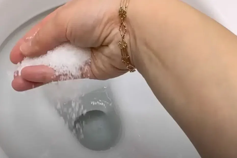 Stop Slow Flushes: Rock Salt Trick That Works