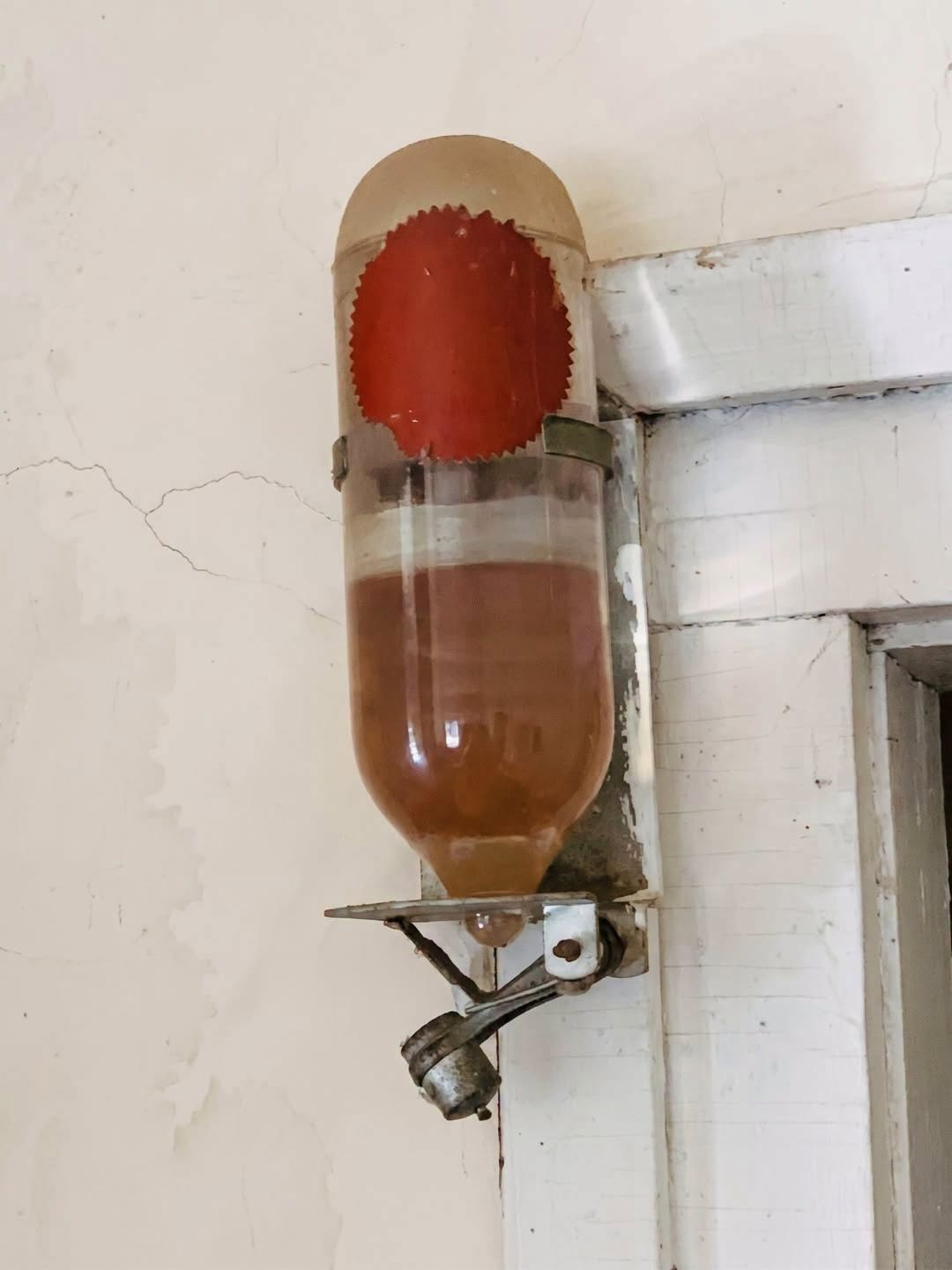 Found an Old Glass Fly Dispenser? Read This