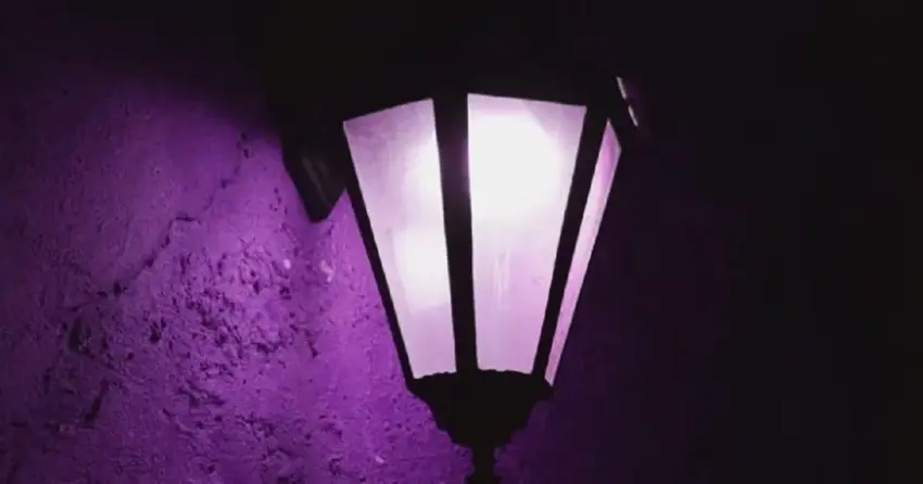 Why Is Your Neighbor’s Porch Light Purple? The True Meaning Behind the Glow
