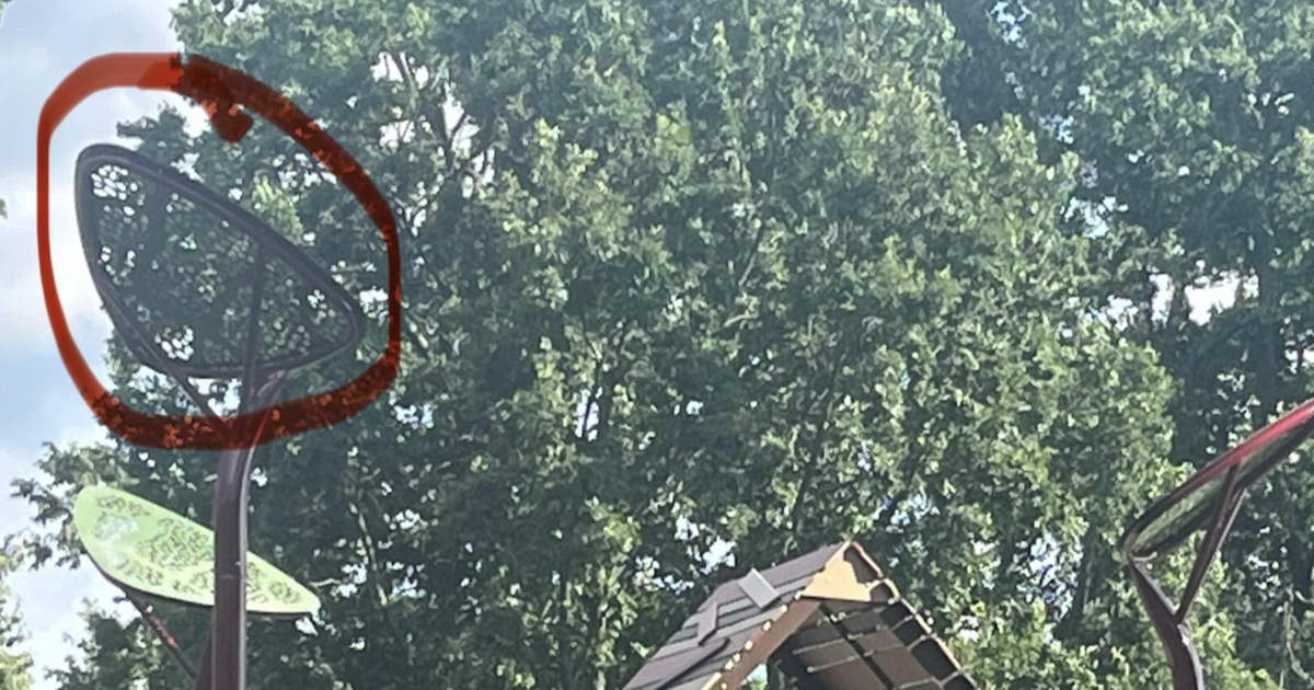 What Are Those Giant Playground Leaves?